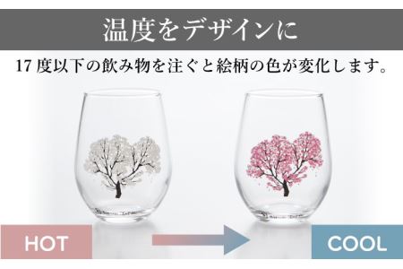 温度で変化する器 フリーグラスペアセット 『冷感桜』【丸モ高木陶器】コップ ビールグラス 食器   [TBA004]