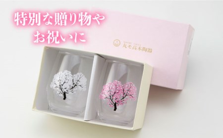 温度で変化する器 フリーグラスペアセット 『冷感桜』【丸モ高木陶器】コップ ビールグラス 食器   [TBA004]