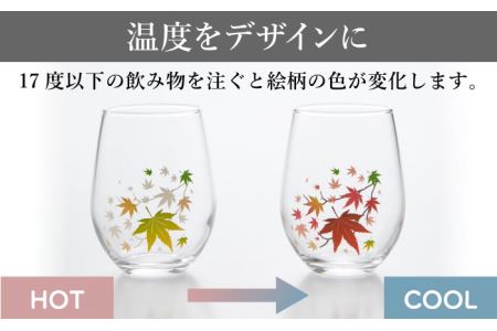 温度で変化する器 フリーグラスペアセット 『冷感紅葉』【丸モ高木陶器】コップ ビールグラス 食器   [TBA006]