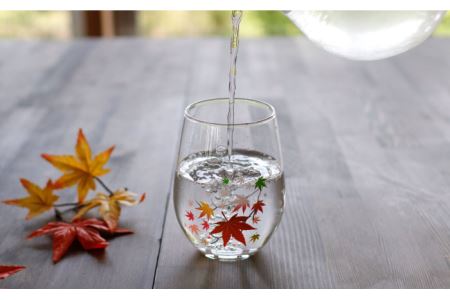 温度で変化する器 フリーグラスペアセット 『冷感紅葉』【丸モ高木陶器】コップ ビールグラス 食器   [TBA006]