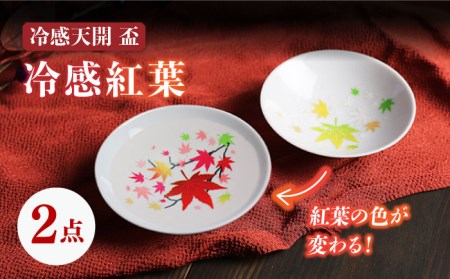 美濃焼】温度で変化する酒器 白平盃ペアセット 『冷感紅葉』【丸モ高木