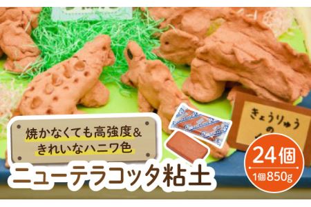 焼かなくても丈夫！ ニューテラコッタ粘土【美濃粘土】 雑貨 自由研究 自由工作 夏休み 冬休み [TBD008]