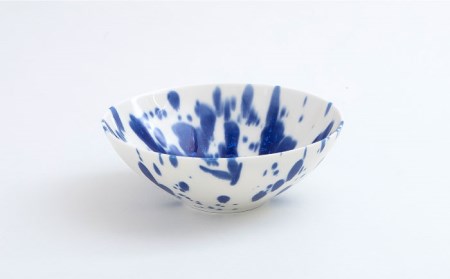 美濃焼】プレート/ボウル 2色4点セット splash jp 『白藍 × 月白