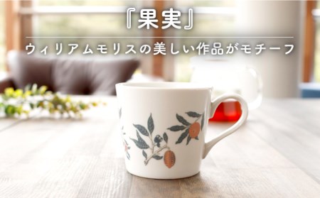 【美濃焼】温度で変化する器 温感 マグカップ（2個）ボタニカル『コンプトン』『果実』【丸モ高木陶器】 [TBA108]