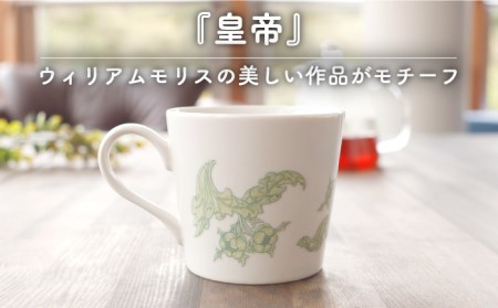【美濃焼】温度で変化する器 温感 マグカップ（2個）ボタニカル『皇帝』『果実』【丸モ高木陶器】 [TBA111]