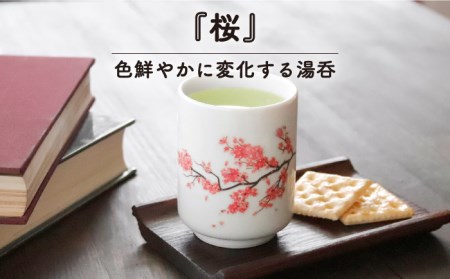 美濃焼】 温度で変化する 湯呑 (2個) 『桜』 『紅葉』 【丸モ高木陶器