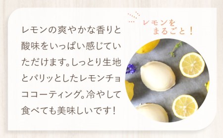 レモンケーキBOX（12個入） 多治見市/ルポ スイーツ [TBN009]