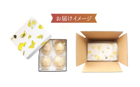 レモンケーキBOX（12個入） 多治見市/ルポ スイーツ [TBN009]