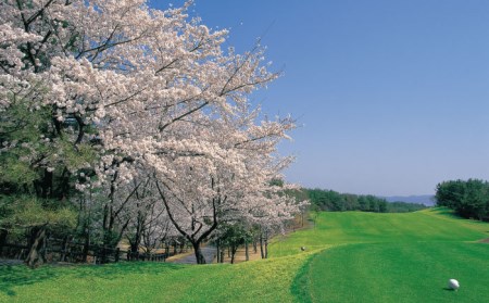 ゴルフ 平日利用券 6,000円分 多治見市/多治見カントリークラブ チケット ゴルフ場[TCC002]