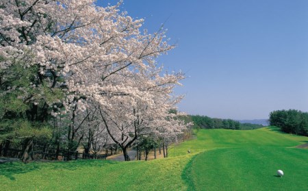 ゴルフ 平日利用券 12,000円分 多治見市/多治見カントリークラブ チケット ゴルフ場 [TCC004]