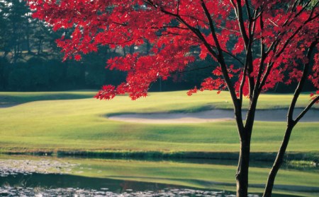 ゴルフ 平日利用券 12,000円分 多治見市/多治見カントリークラブ チケット ゴルフ場 [TCC004]