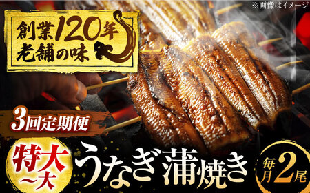 【3回定期便】うなぎ 蒲焼き 2尾 × 3回 計6尾 多治見市/澤千 うなぎ ウナギ [TDD005]