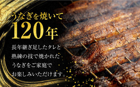 【6回定期便】うなぎ 蒲焼き 2尾 × 6回 計12尾 多治見市/澤千 蒲焼き かば焼き [TDD006]