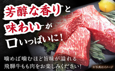 【12/14までの決済で年内配送】 飛騨牛 もも肉 1kg [TDC004] 牛肉 モモ肉