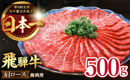 【12/14までの決済で年内配送】飛騨牛 肩ロース 500g [TDC005] 和牛 肩ロース