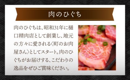 ＼贅沢な味わいをご家庭で／ 【6回定期便】【飛騨牛】切り落とし 総計3kg 〈1回あたり〉500g (250g×2)【肉のひぐち】 国産 ブランド牛 和牛 BBQ キャンプ  [TDC011]