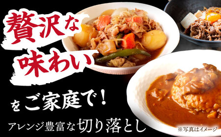 【12/14までの決済で年内配送】 飛騨牛 切り落とし 1kg (250g×4) [TDC013] 牛肉 切り落とし
