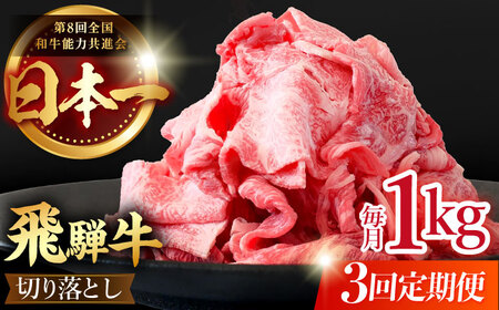  【3回定期便】【飛騨牛】切り落とし 総計3kg 〈1回あたり〉1kg (250g×4) [TDC014]飛騨牛 切り落とし 飛騨牛 切り落とし 飛騨牛 切り落とし 