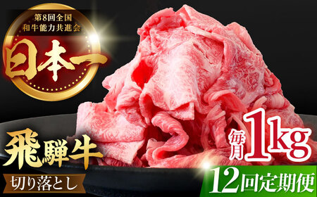  【12回定期便】【飛騨牛】切り落とし 総計12kg 〈1回あたり〉1kg (250g×4) [TDC016] 飛騨牛 切り落とし 飛騨牛 切り落とし 飛騨牛 切り落とし 