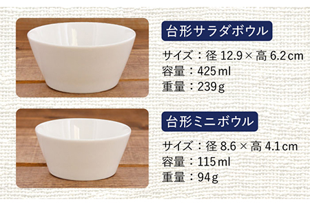 【美濃焼】ニューボーン ペア 食器セット 10点 5種2点ずつ【丸半製陶所】 食器 おしゃれ お皿 セット プレート 丸 皿 サラダボウル うつわ 美濃焼 [TDG005]