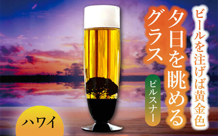 夕日を眺める グラス　ピルスナー『ハワイ』【丸モ高木陶器】 [TBA162]