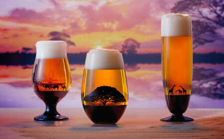 夕日を眺める グラス　ピルスナー『ハワイ』【丸モ高木陶器】 [TBA162]