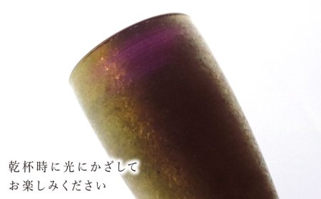 宝石グラスタンブラー　ゴールド（アメジスト）【丸モ高木陶器】 [TBA178]