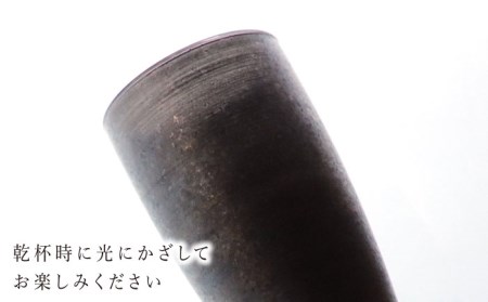 宝石グラスタンブラー　シルバー（ブラックダイヤモンド）【丸モ高木陶器】 [TBA179]