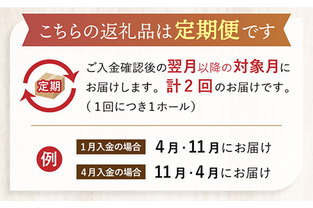 【2回定期便】 旬の食材や果物で作った パティシエセレクト ケーキ 【ルポ】 [TBN028]