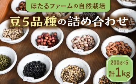 数量限定※【先行予約】自然栽培の豆 5品種 約1kg 【ほたるファーム