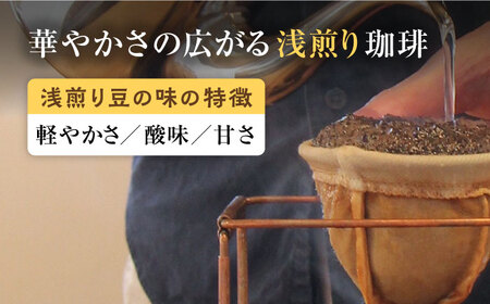 こだわりの自家焙煎 コーヒー豆 〈浅煎り〉 2種 計300g 多治見市 / Jikan ryoko コーヒー[TDR001]