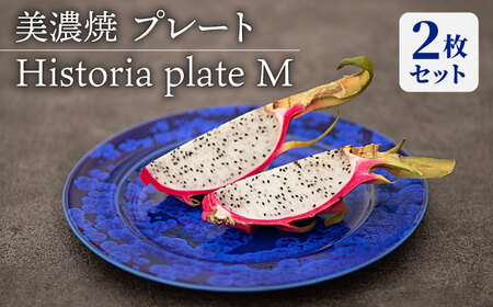【美濃焼】 プレートM 2枚セット Historia plate M pair set  【柴田商店】食器 皿 ペア [TAL065]