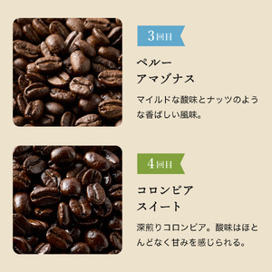 【定期便】カフェ・アダチ  ドリップコーヒー コーヒー豆 酸味の少ないコクのある厳選ストレートコーヒー（200ｇ×6回）