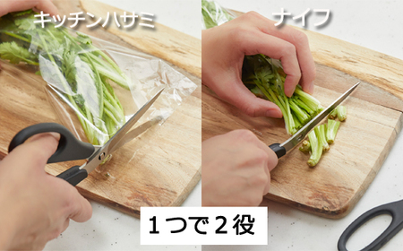 remy ナイフなハサミ 平野レミ・和田明日香監修