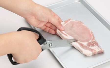 貝印 SELECT100 キッチンばさみ 000DH3005 セレクト100 キッチンはさみ キッチン鋏 関市 キッチンツール 料理 刃物 おしゃれ 便利