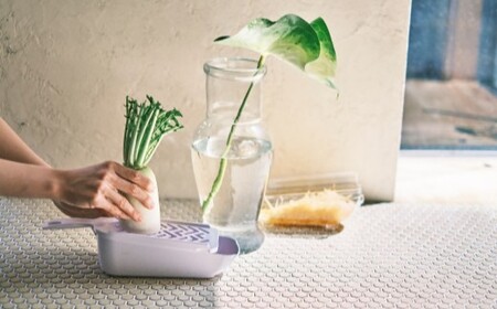 貝印 SELECT100 8点セットスライサー【食洗機対応 】