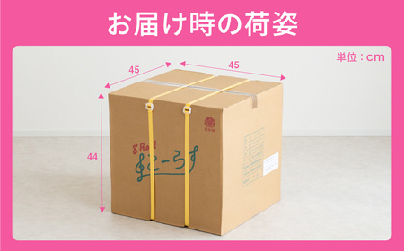 トイレットペーパー ダブル 64ロール 65m こーらす65W