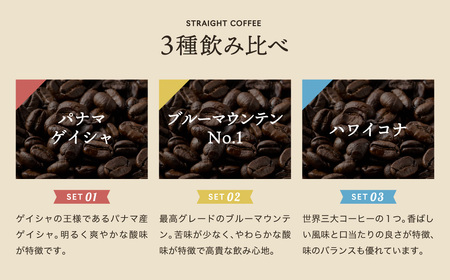 高級缶入りコーヒー　パナマゲイシャ　ブルマン　ハワイコナ　100g　3種　詰め合わせ/カフェアダチ　珈琲　コーヒー　自家焙煎　COFFEE　焙煎　パナマ・ゲイシャ　ブルーマウンテン　ハワイ・コナ