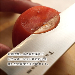 完全無欠包丁 2サイズセット (定番・ペティ)