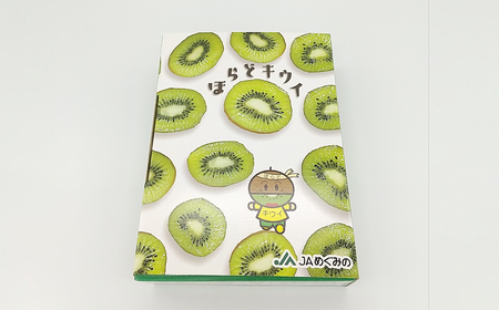 関市名産とれったひろば ほらどキウイフルーツ9玉「贈答箱入」【12月~2月頃に順次発送】【申込期間:6月~1月末日】