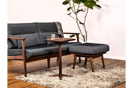 イグナイト サイドテーブル【長方・ウォルナット材】JIG-STW195-4035 PNW