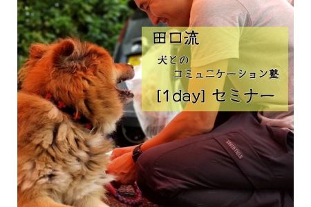 田口流 犬とのコミュニケーション塾 【1DAY】セミナー (1名参加) T50-02