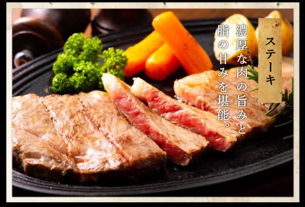 〈飛騨牛〉 ロースステーキ 400g 【高島屋選定品】59E0542