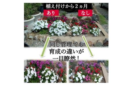 息を吹込む　息吹グリーン（土壌改良材）1kg  D10-15   肥料 花壇 土壌 園芸 