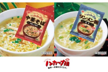 G9-03 お湯を注ぐだけ！ミニノンカップ麺らーめんセット20食（2種×10食