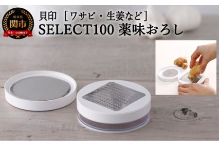 H8-115 ＜ワサビ用・生姜用おろしセット＞■SELECT100 薬味おろし ◇ 貝印 (DH5704)