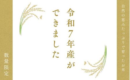 令和7年産 ハツシモ米 【白米】5kg