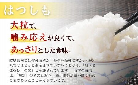 ふるさと納税 岐阜県 各務原市 732 　岐阜県産特栽米ハツシモ（2kg×2袋贈答箱) 岐阜県 ハツシモ 2kgの通販