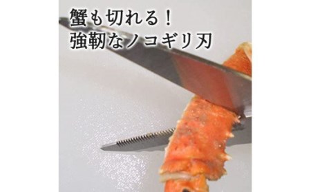 H5-243 とん！とん！ キッチンハサミ