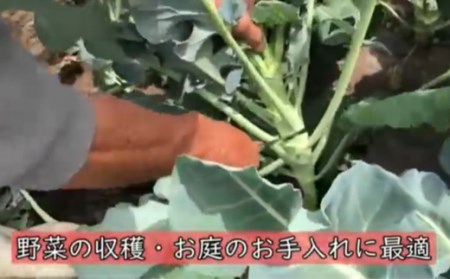 万能収穫鎌  H5-21 